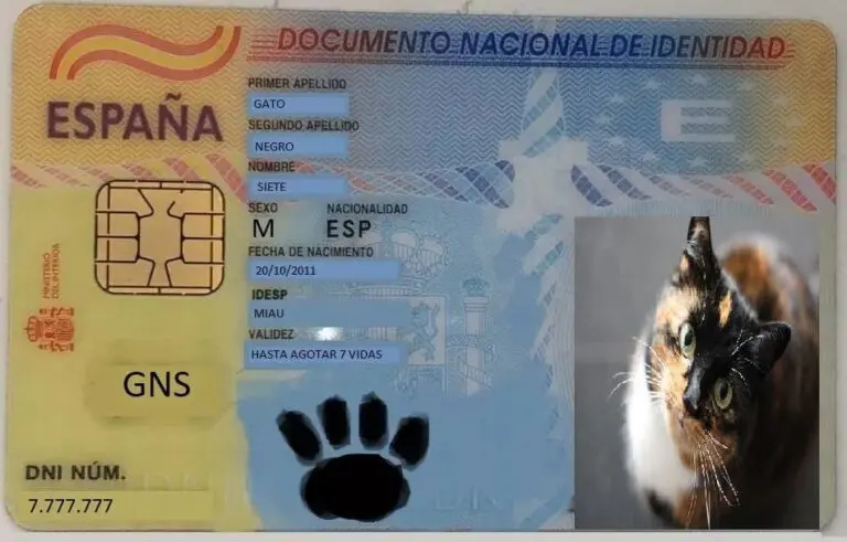 DNI-GAtos-768x491