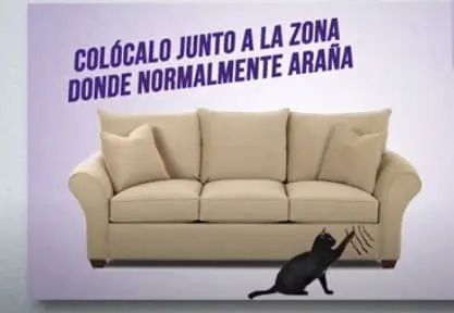 Gato rascando el sofa