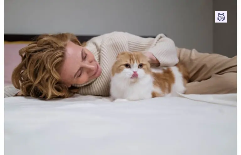 beneficios de acariciar un gato