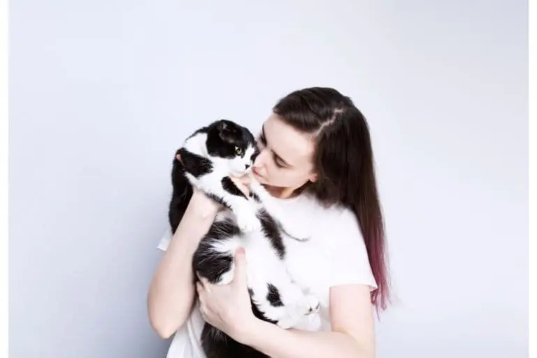 cuidar a un gato anciano en madrid