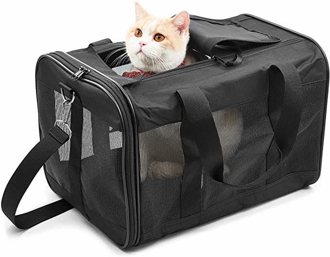 Gato Transportin